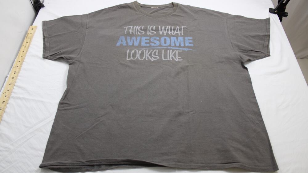 Women's 2X Gray This Is What Awesome Looks Like Graphic T-Shirt Casual Plus Tee